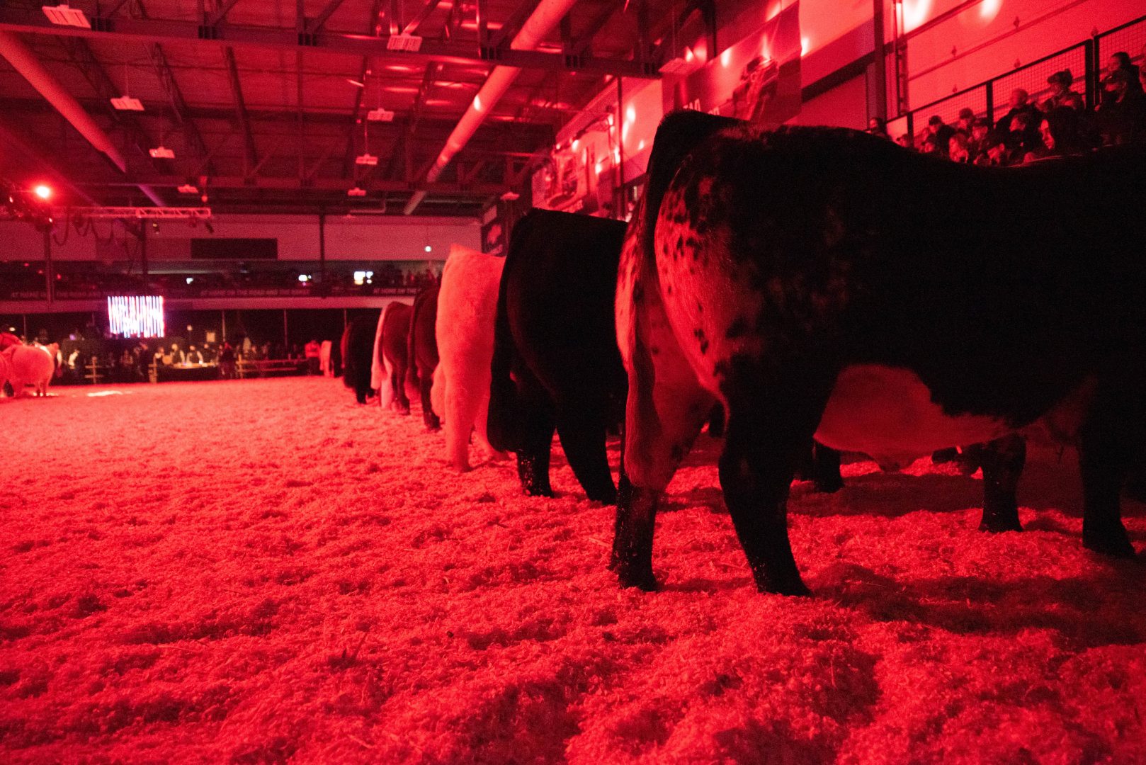 Out And About With Alberta Beef Producers - Alberta Beef Producers