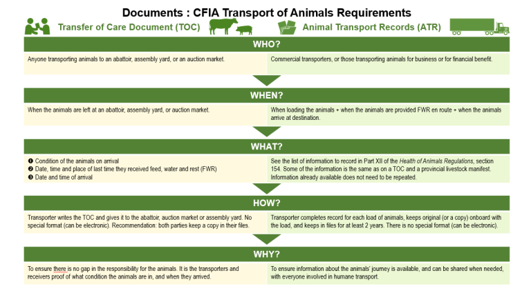 graduated-enforcement-for-transport-regulations-ends-alberta-beef