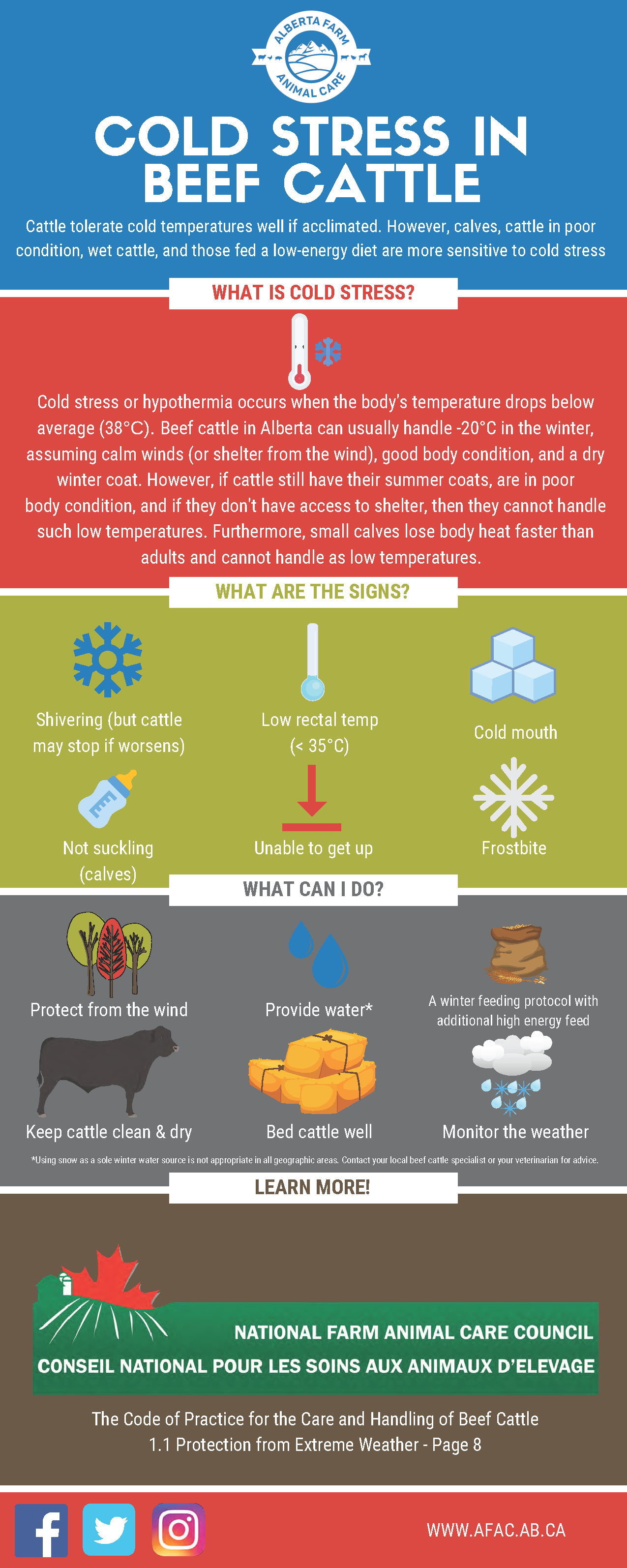 Cold stress: how much does it impact your operation's bottom line ...