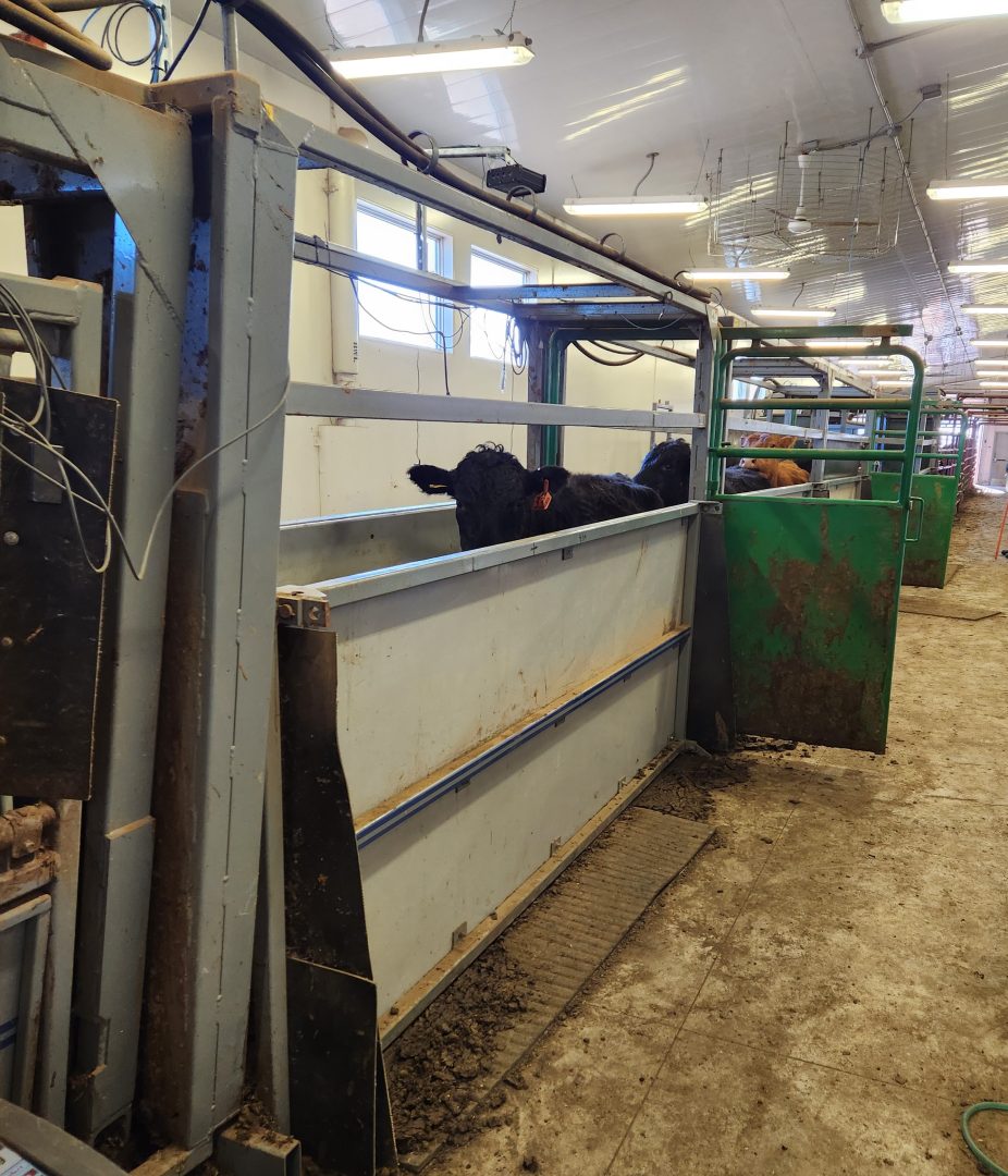 ABP Research Showcase Highlights | Connecting grazing environments with ...