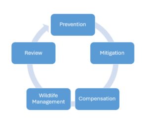 The five inter-related parts of the human-wildlife conflict program.