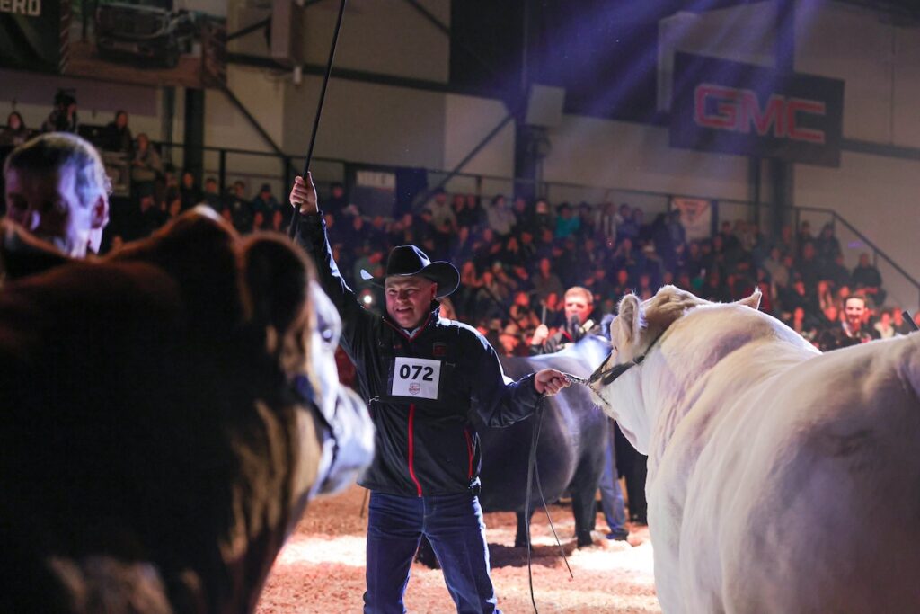 Credit: ShowChampions