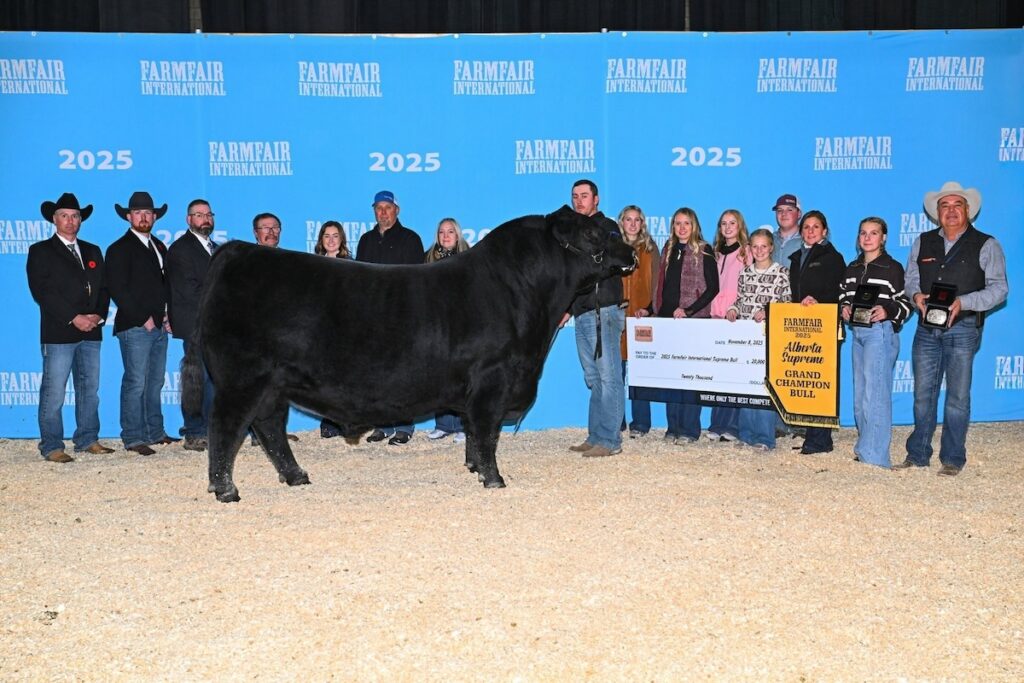Supreme Champion Bull and Champion Angus Bull Ter-Ron Eldorado 185L (by Greenwood Four Mile 47J), exhibited by Murray Ranches, Tilley, AB. Photo Credit: ShowChampions
