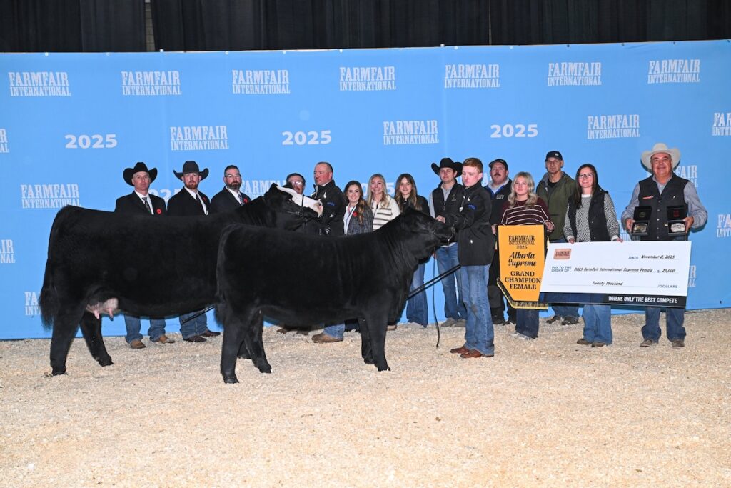 Supreme Champion Female and Champion Simmental Female
RF Scream 3121 (by RF Caliber 014G) and her calf RF Scream 5141
(by WHF/JS/CCS Double Up G365), Photo Credit: ShowChampions